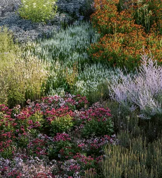 The Beautiful Perennial Gardens of Piet Oudolf, the World’s Greatest Living Landscape Designer